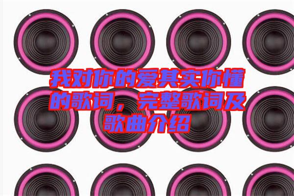 我對你的愛其實你懂的歌詞，完整歌詞及歌曲介紹