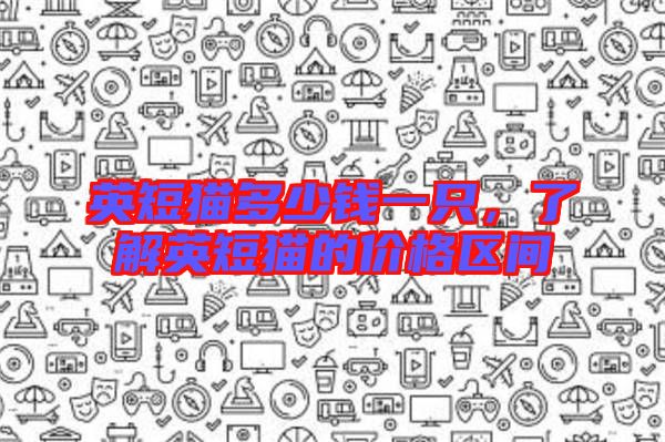 英短貓多少錢一只，了解英短貓的價(jià)格區(qū)間