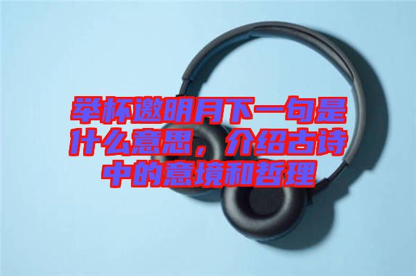 舉杯邀明月下一句是什么意思，介紹古詩中的意境和哲理