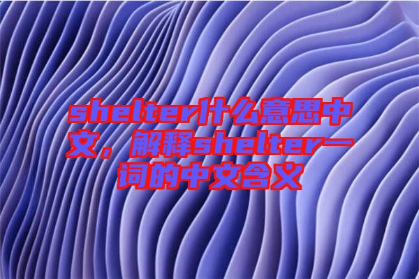 shelter什么意思中文，解釋shelter一詞的中文含義