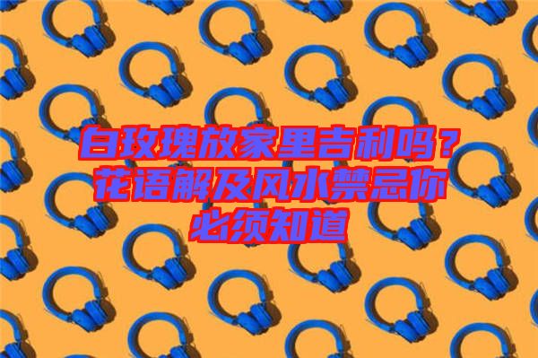 白玫瑰放家里吉利嗎？花語解及風(fēng)水禁忌你必須知道