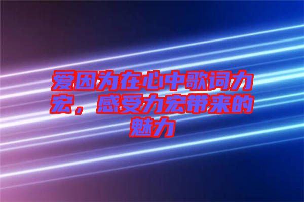 愛因?yàn)樵谛闹懈柙~力宏，感受力宏帶來的魅力