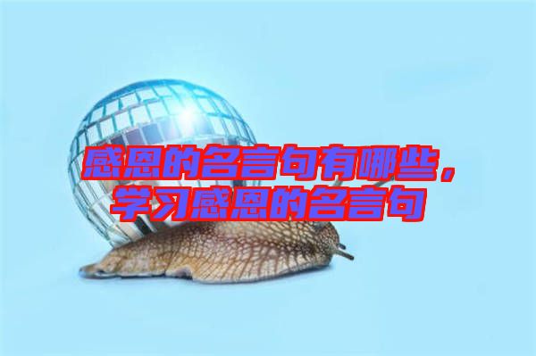 感恩的名言句有哪些，學(xué)習(xí)感恩的名言句