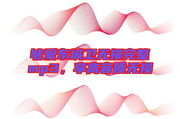 夠愛東城衛(wèi)無損完整mp3，享高音質(zhì)無損
