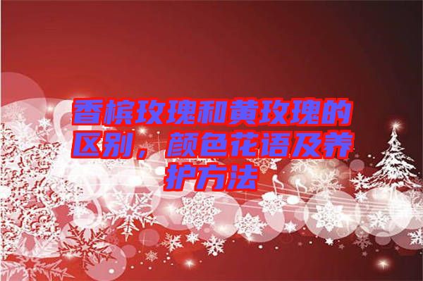 香檳玫瑰和黃玫瑰的區(qū)別，顏色花語及養(yǎng)護(hù)方法