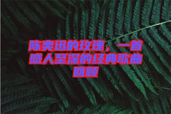 陳奕迅的玫瑰，一首感人至深的經(jīng)典歌曲回顧