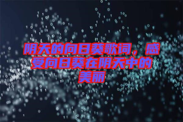 陰天的向日葵歌詞，感受向日葵在陰天中的美麗