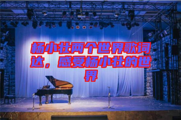 楊小壯兩個(gè)世界歌詞達(dá)，感受楊小壯的世界