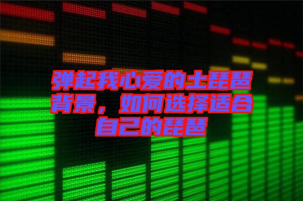 彈起我心愛的土琵琶背景，如何選擇適合自己的琵琶
