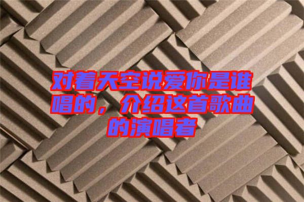 對著天空說愛你是誰唱的，介紹這首歌曲的演唱者