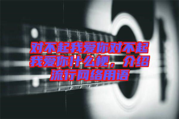 對不起我愛你對不起我愛你什么梗，介紹流行網(wǎng)絡(luò)用語