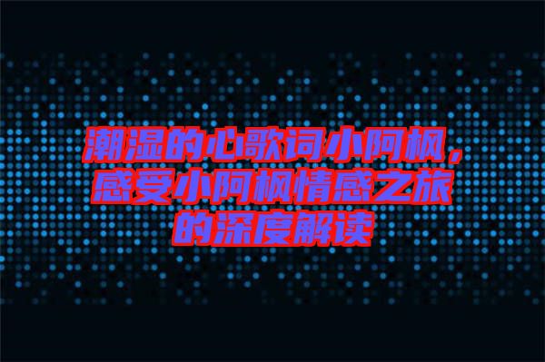 潮濕的心歌詞小阿楓，感受小阿楓情感之旅的深度解讀