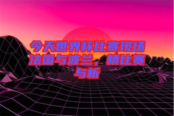 今天世界杯比賽現(xiàn)場法國與波蘭，精比賽與析