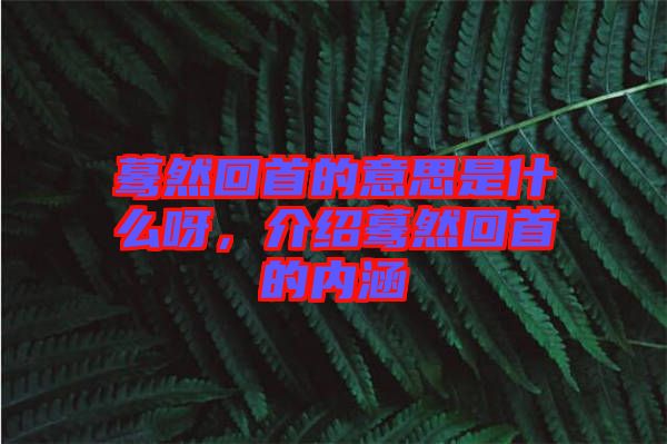 驀然回首的意思是什么呀，介紹驀然回首的內(nèi)涵