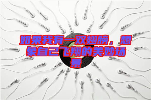 如果我有一雙翅膀，想象自己飛翔的美妙場(chǎng)景