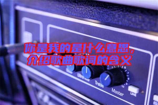 你是我的是什么意思，介紹歌曲歌詞的含義