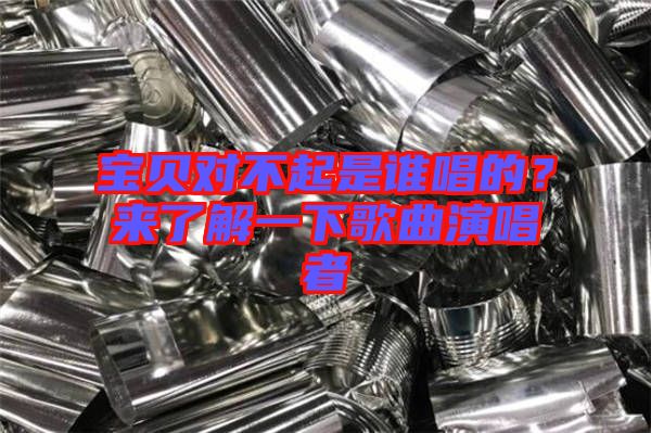 寶貝對不起是誰唱的？來了解一下歌曲演唱者