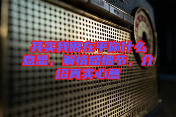 其實我很在乎你什么意思，解情感細(xì)節(jié)，介紹真實心意