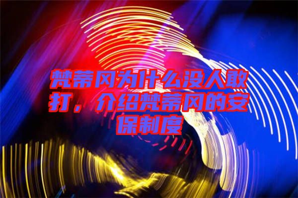 梵蒂岡為什么沒人敢打，介紹梵蒂岡的安保制度