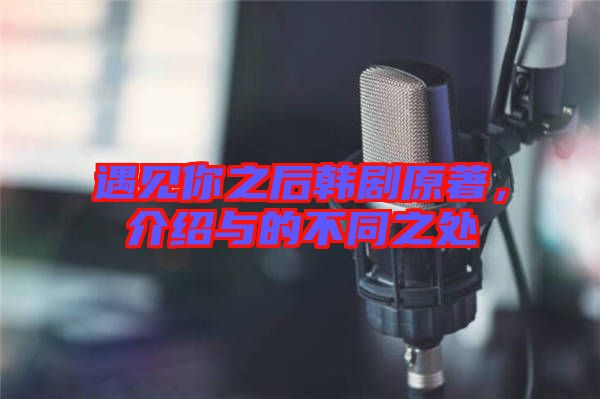 遇見你之后韓劇原著，介紹與的不同之處