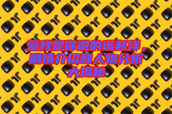 愛(ài)我是你說(shuō)的謊趙洋，劇情介紹和人物分析大揭秘