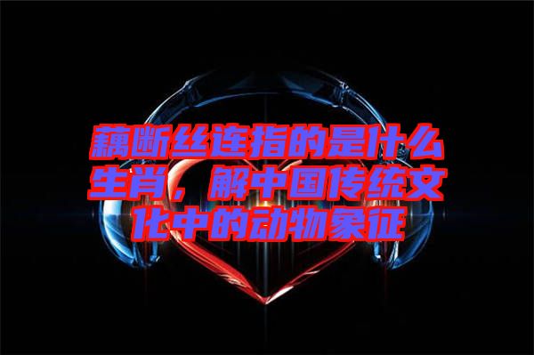 藕斷絲連指的是什么生肖，解中國傳統(tǒng)文化中的動(dòng)物象征
