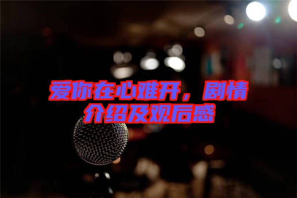 愛你在心難開，劇情介紹及觀后感
