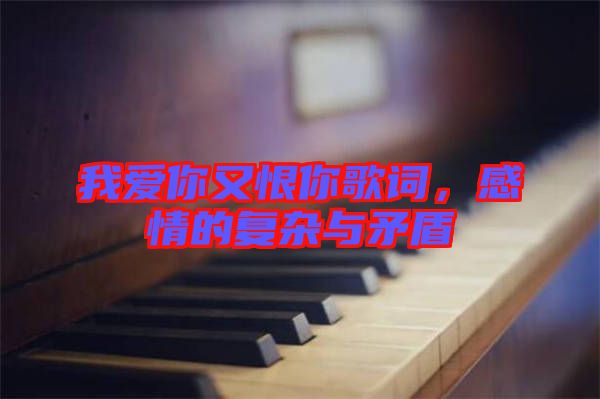 我愛(ài)你又恨你歌詞，感情的復(fù)雜與矛盾
