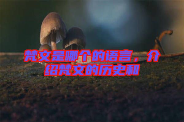 梵文是哪個(gè)的語(yǔ)言，介紹梵文的歷史和