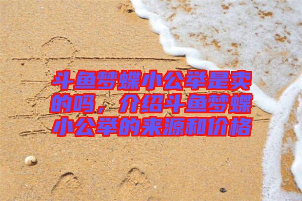 斗魚夢蝶小公舉是賣的嗎，介紹斗魚夢蝶小公舉的來源和價格