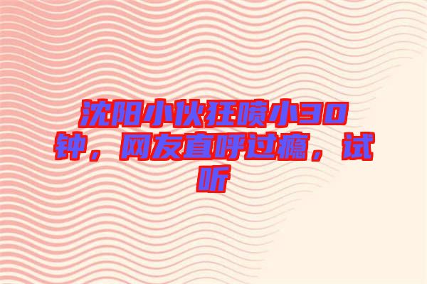 沈陽(yáng)小伙狂噴小30鐘，網(wǎng)友直呼過(guò)癮，試聽(tīng)