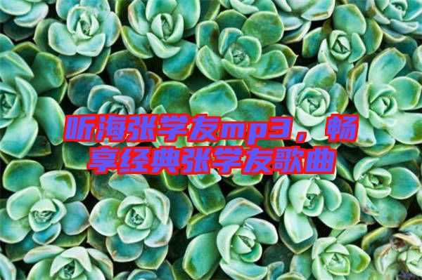 聽海張學(xué)友mp3，暢享經(jīng)典張學(xué)友歌曲