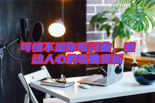 可惜不是你歌詞曲，感動人心的歌曲賞析