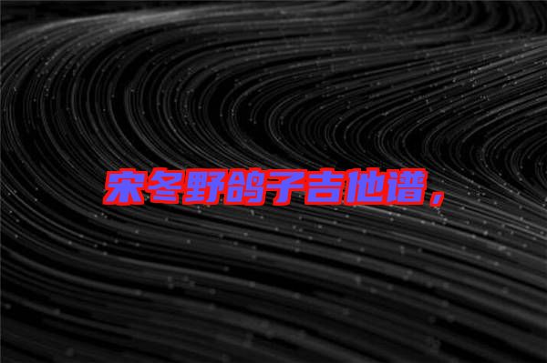 宋冬野鴿子吉他譜，