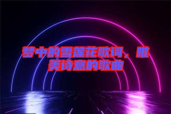 夢中的雪蓮花歌詞，唯美詩意的歌曲