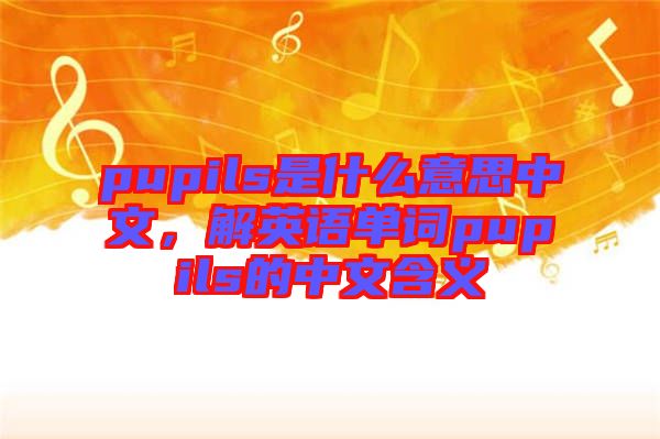 pupils是什么意思中文，解英語單詞pupils的中文含義