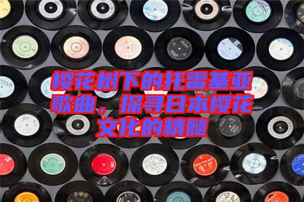 櫻花樹下的托雷基亞歌曲，探尋日本櫻花文化的精髓