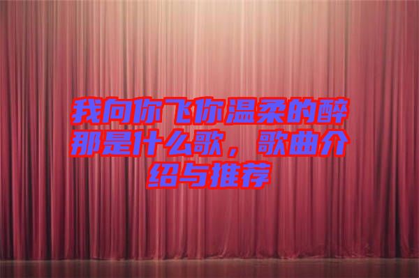 我向你飛你溫柔的醉那是什么歌，歌曲介紹與推薦