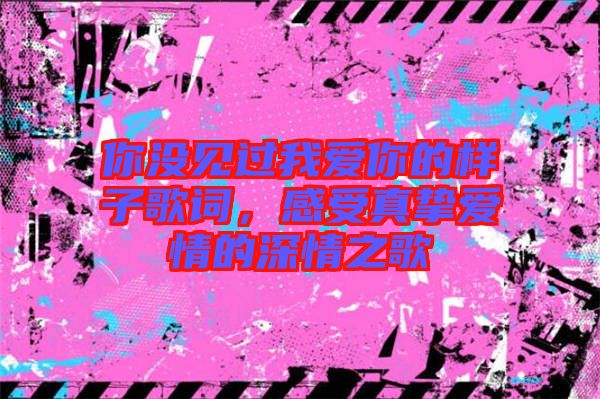 你沒(méi)見(jiàn)過(guò)我愛(ài)你的樣子歌詞，感受真摯愛(ài)情的深情之歌
