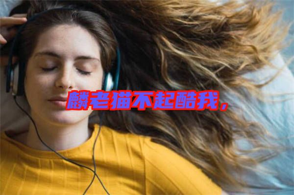 麟老貓不起酷我，