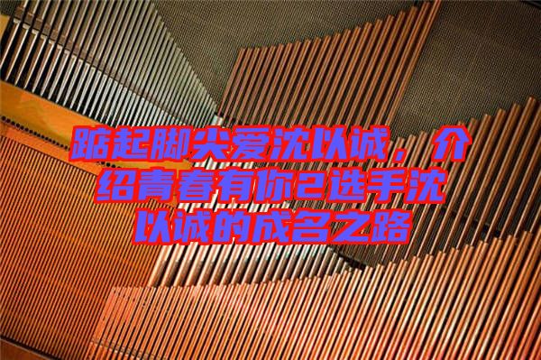 踮起腳尖愛(ài)沈以誠(chéng)，介紹青春有你2選手沈以誠(chéng)的成名之路