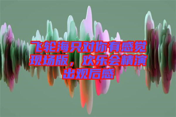 飛輪海只對你有感覺現(xiàn)場版，歡樂會精演出觀后感