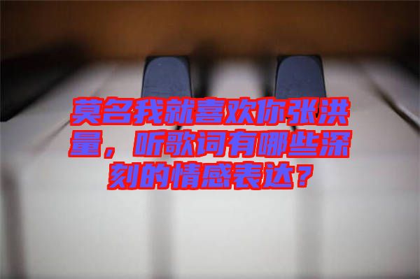 莫名我就喜歡你張洪量，聽(tīng)歌詞有哪些深刻的情感表達(dá)？