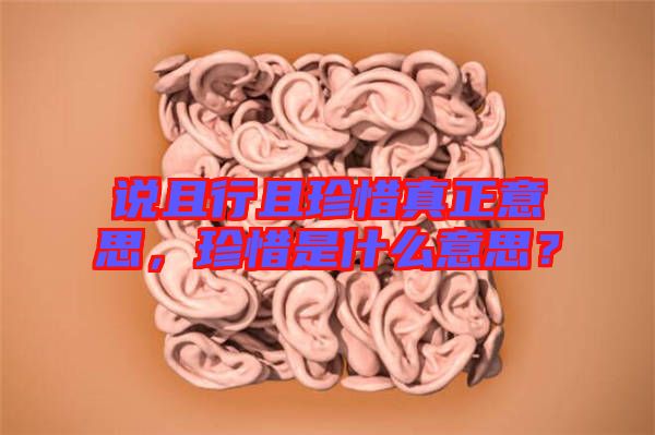 說且行且珍惜真正意思，珍惜是什么意思？