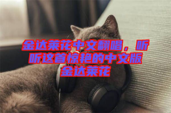 金達(dá)萊花中文翻唱，聽(tīng)聽(tīng)這首驚艷的中文版金達(dá)萊花