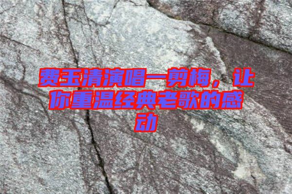 費(fèi)玉清演唱一剪梅，讓你重溫經(jīng)典老歌的感動