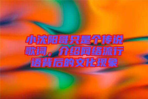 小沈陽哥只是個(gè)傳說歌詞，介紹網(wǎng)絡(luò)流行語背后的文化現(xiàn)象
