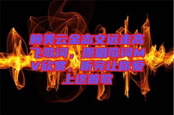 賴美云金志文遠(yuǎn)走高飛歌詞，原唱歌詞MV欣賞，聽完讓你愛上這首歌