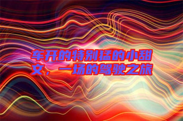 車開(kāi)的特別猛的小甜文，一場(chǎng)的駕駛之旅