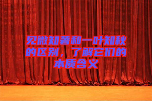見微知著和一葉知秋的區(qū)別，了解它們的本質(zhì)含義